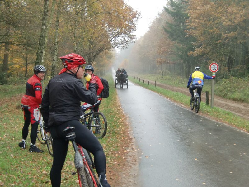 Wilseder Berg 1 2010 054